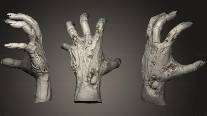 Anatomy of skeletons and skulls (Monster Hand 3, ANTM_0906) 3D models for cnc